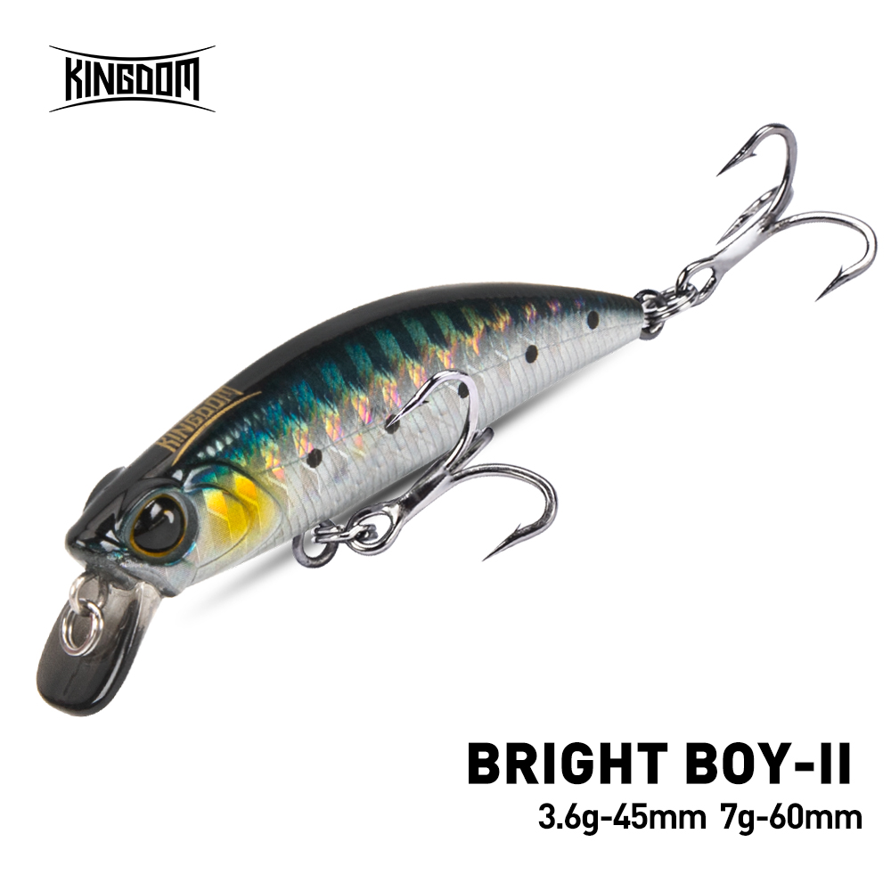 Kingdom-señuelo de pesca de pe - Fishing Equipment For Trout reseña y precio